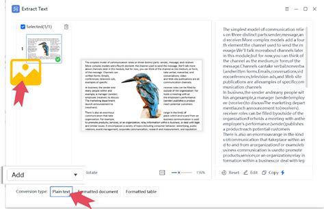 Pdf bild till text